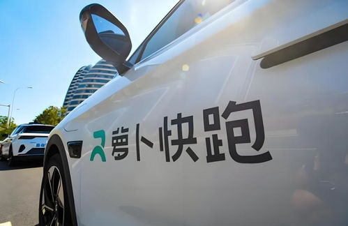 蘿卜快跑青島落子加速全球布局，年內(nèi)新設(shè)16家公司深耕數(shù)據(jù)處理與存儲(chǔ)服務(wù)
